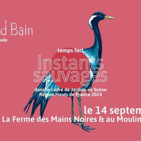 Le Grand Bain Nomade