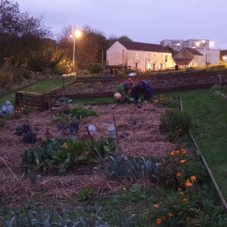 Nocturne au jardin