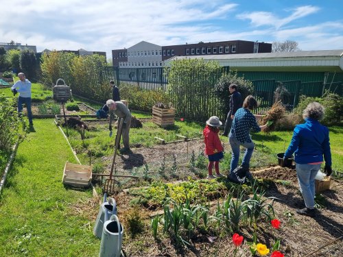 Chantier participatif à la ferme Beaurepaire